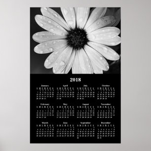 Póster Calendário de Parede 2018 Flor Margarida Africana