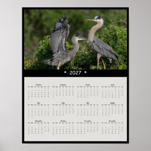 Poster Calendário de Parede 2027 da Garça Azul Grande Caç