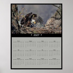 Poster Calendário de Parede Águia Americana 2027 - Guardi