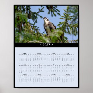 Poster Calendário de Parede Águia-Pescadora 2027 - Foto d