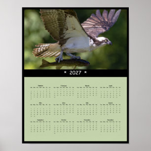 Poster Calendário de Parede Águia-Pescadora 2027 - Vida S