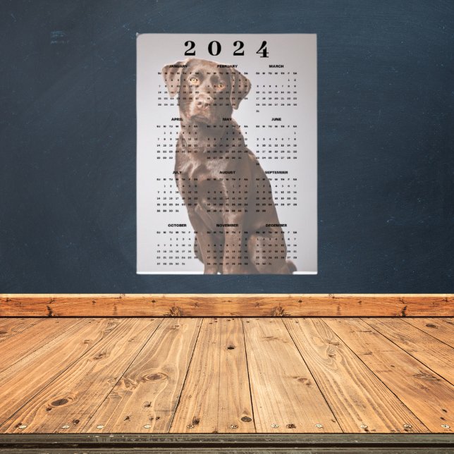Poster Calendário de Parede Chocolate Labrador Retriever  (Criador carregado)
