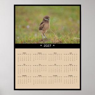 Poster Calendário de Parede da Coruja Buraqueira 2027 - E