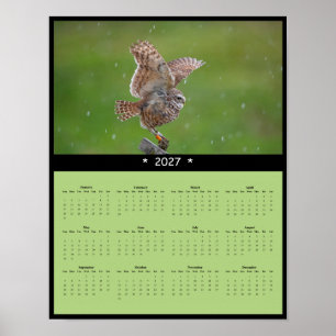 Poster Calendário de Parede da Coruja-Buraqueira 2027 - O