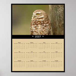 Poster Calendário de Parede da Coruja Buraqueira 2027 - P