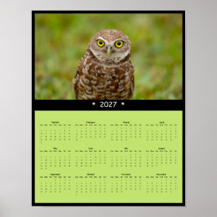 Poster Calendário de Parede da Coruja Buraqueira de 2027