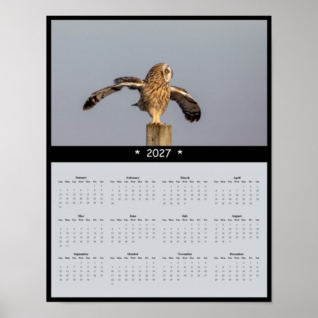 Poster Calendário de Parede da Coruja-de-orelhas-curtas 2 (Frente)