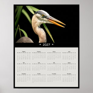 Poster Calendário de Parede da Grande Garça Azul de 2027:
