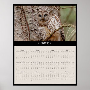 Poster Calendário de Parede de Coruja-barreada 2027 - Eco