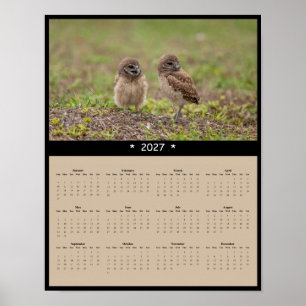 Poster Calendário de Parede de Corujas-buraqueiras 2027 -