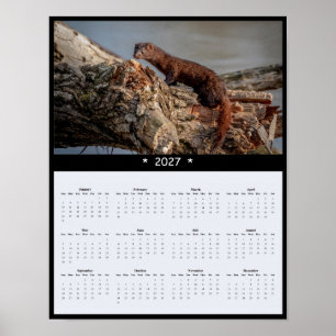 Poster Calendário de Parede de Visão do Mink Americano 20