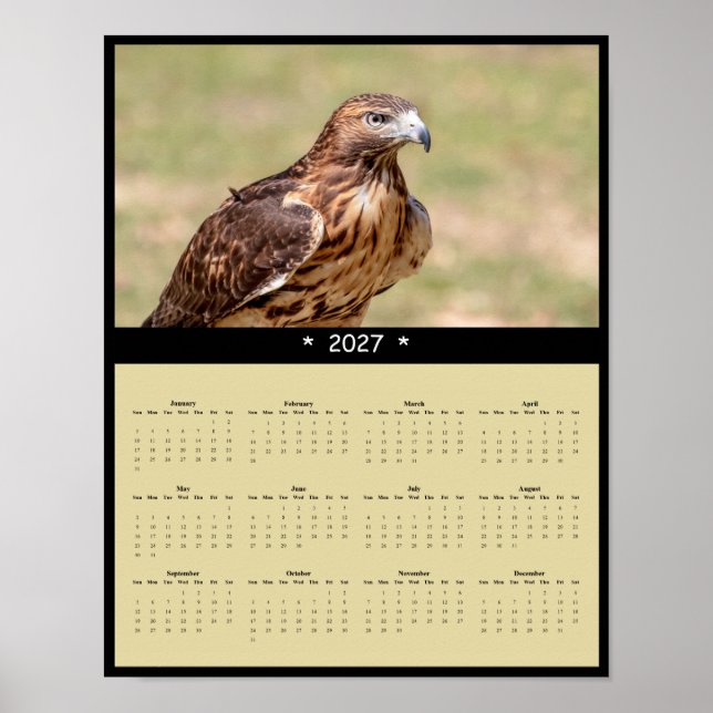 Poster Calendário de Parede do Falcão-de-cauda-vermelha 2 (Frente)
