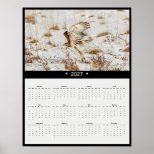 Poster Calendário de Parede do Falcão-de-cauda-vermelha 2
