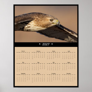 Poster Calendário de Parede do Falcão-de-cauda-vermelha 2