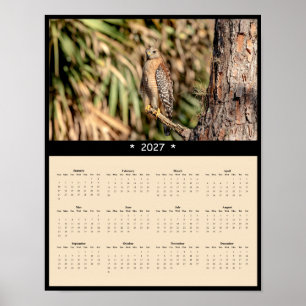 Poster Calendário de Parede do Falcão-de-ombro-vermelho 2