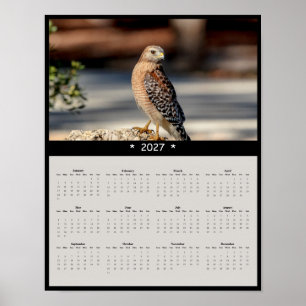 Poster Calendário de Parede do Falcão-de-ombro-vermelho 2