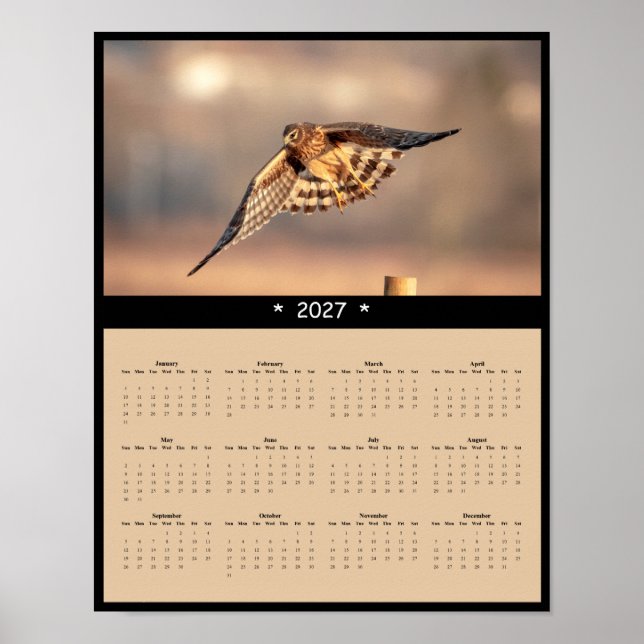 Poster Calendário de Parede do Harrier do Norte de 2027 F (Frente)