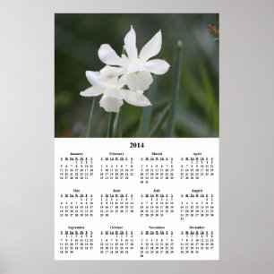 Póster Calendário de Parede dos Daffodils Brancos 2014