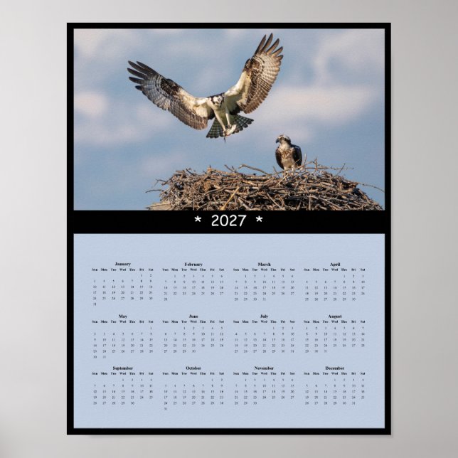 Poster Calendário de Parede Ósprey 2027 - Majestosos Rapt (Frente)