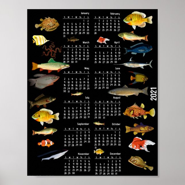 Poster Calendário de peixes como (Frente)