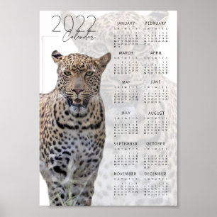 Poster Calendário de vida selvagem do Leopardo 2022