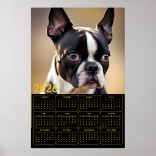 Poster Calendário do Boston Terrier 2026