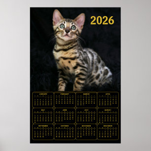 Poster Calendário do Gato Bengal 2026