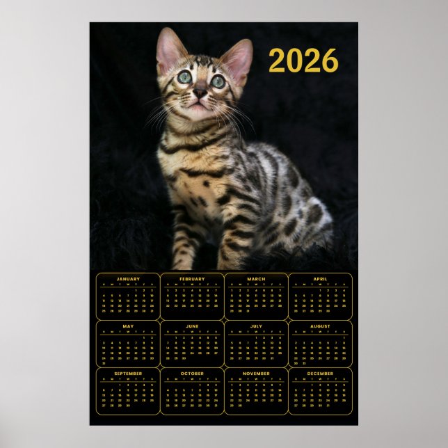 Poster Calendário do Gato Bengal 2026 (Frente)