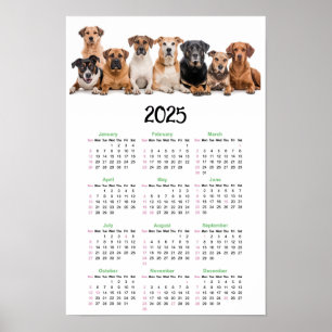 Poster Calendário dos Cães 2025