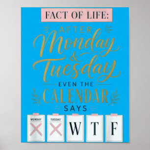 Poster Calendário Fact Of Life Diz Qual Humor Na Terra