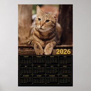 Poster Calendário Gato Tabby 2026