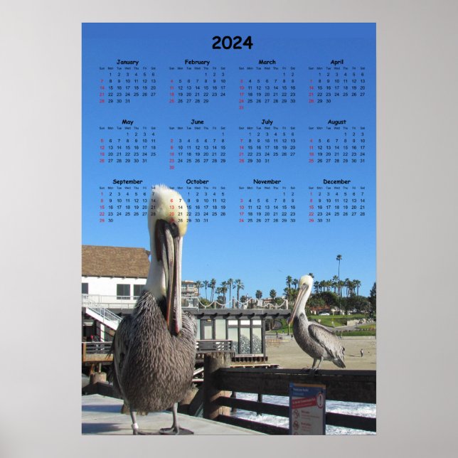Poster Calendário - Pelicanos no Pier 2024 (Frente)