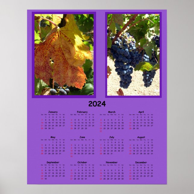 Poster Calendário - Uvas 2024 na vinha (Frente)