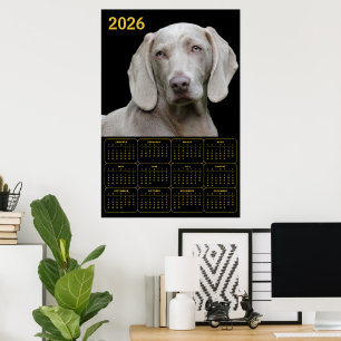 Poster Calendário Weimaraner 2026