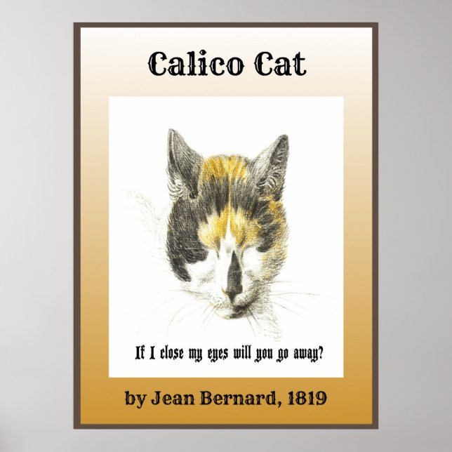 Poster Calico Cat 1819 (Frente)