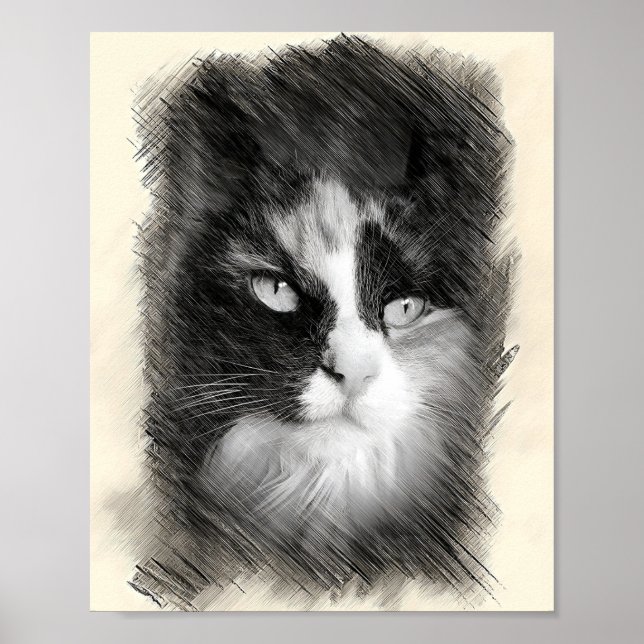 Poster Calico Cat Sketch Art - Feline Portrait Drawing (Frente)