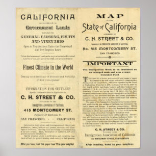 Poster Califórnia 2