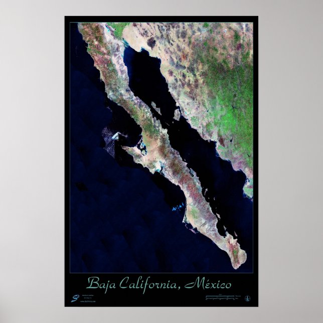 Póster Califórnia Baixa, México  pôster de satélite (Frente)