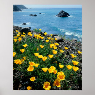 Poster California, Big Sur Coast, Central Coast 1