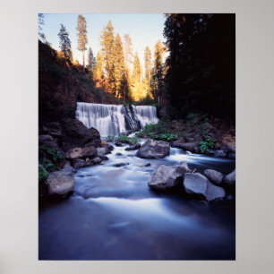 Póster Califórnia, Floresta Nacional Shasta-Trinity