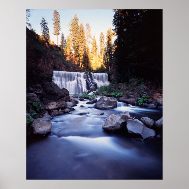 Póster Califórnia, Floresta Nacional Shasta-Trinity (Frente)