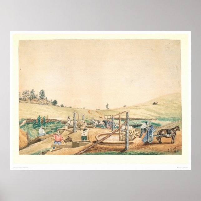 Poster California Miners Working an Arrastra (0111A) (Frente)