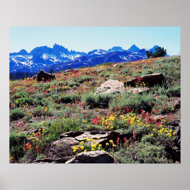 Póster Califórnia, Montanhas da Sierra Nevada 1 (Frente)