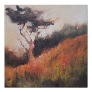 Póster California Monterey Cypress Lone Tree