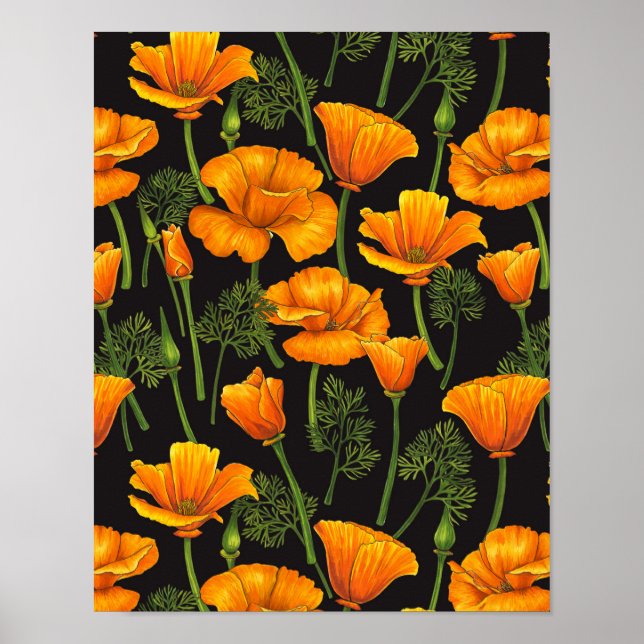 Poster California poppy (Frente)