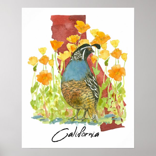 Poster California Quail Bird Poppies State Shape (Frente)