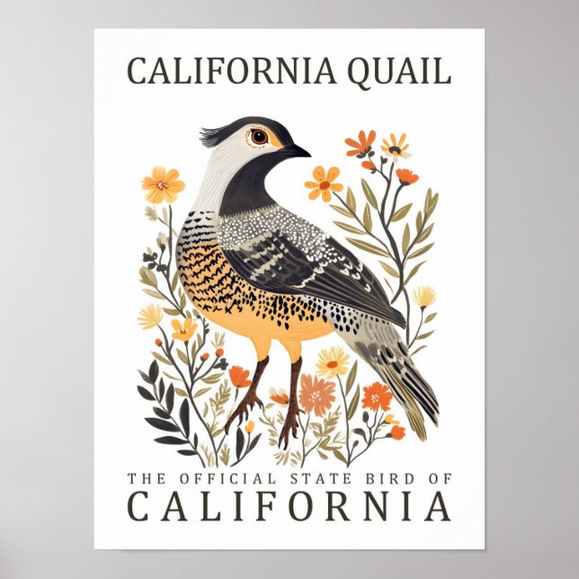 Poster California Quail Bird, Viagem dos EUA (Frente)