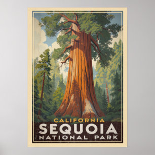 Poster California Sequoia National Park V01
