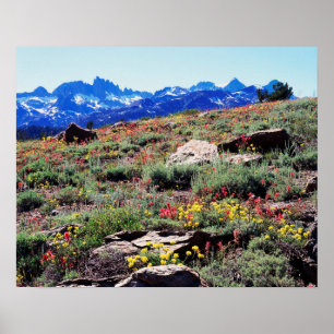 Póster Califórnia, Serra Nevada, Montanhas 1