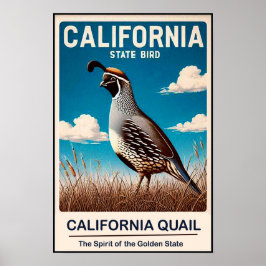 Poster California State Bird - California Quail Vintage